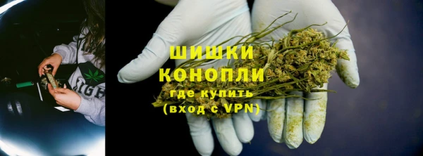 дурь Сосновый Бор