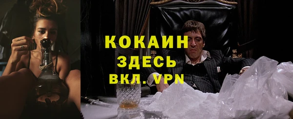 трава Сосновка