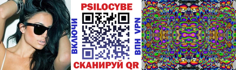 Галлюциногенные грибы Cubensis продажа наркотиков Иваново