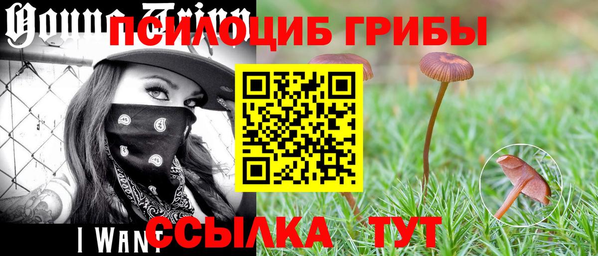 Псилоцибиновые грибы GOLDEN TEACHER Иваново