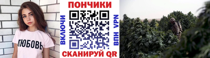 Канабис марихуана  закладка  Иваново 